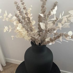 BLOEMEN/VEREN/ PLUIMEN