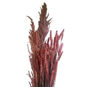 Droogboeket roze tarwe